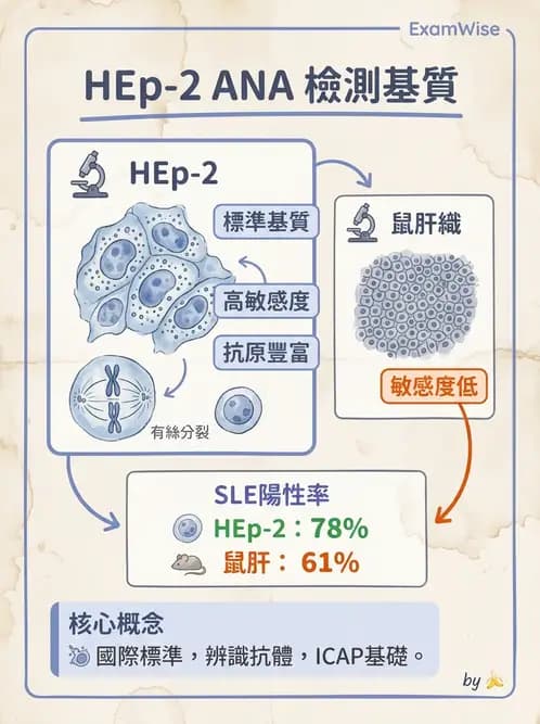醫檢師 - 實驗室測試免疫法 - AI 圖文解析預覽