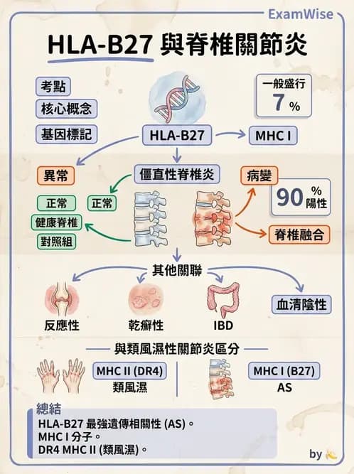 醫檢師 - 組織型與移植免疫學 - AI 圖文解析預覽
