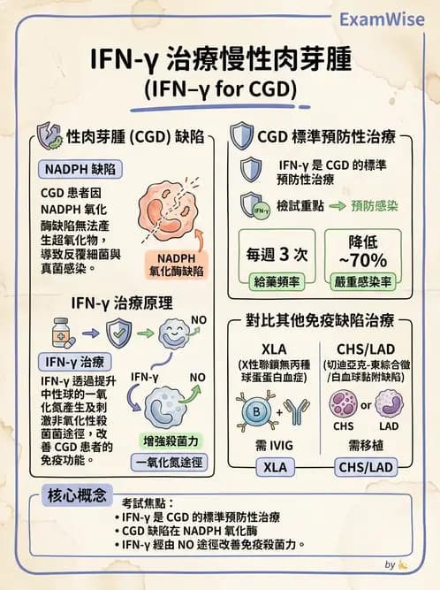醫檢師 - 免疫缺陷 - AI 圖文解析預覽