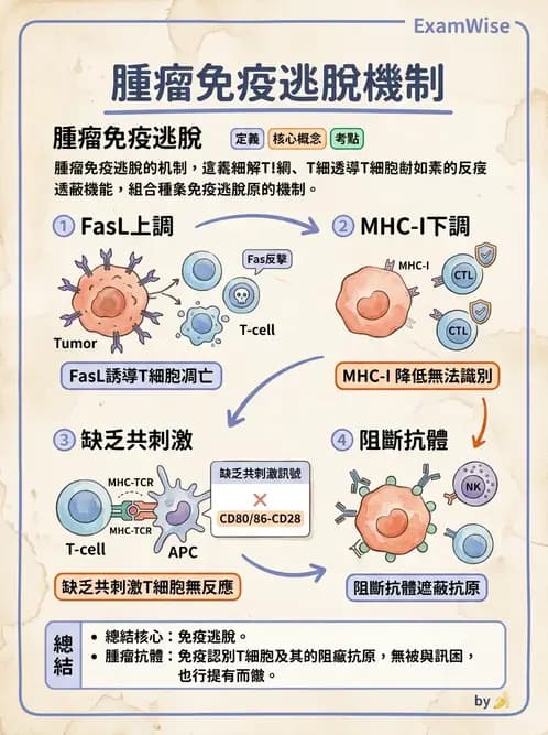 醫檢師 - 腫瘤免疫學免疫療法及疫苗 - AI 圖文解析預覽