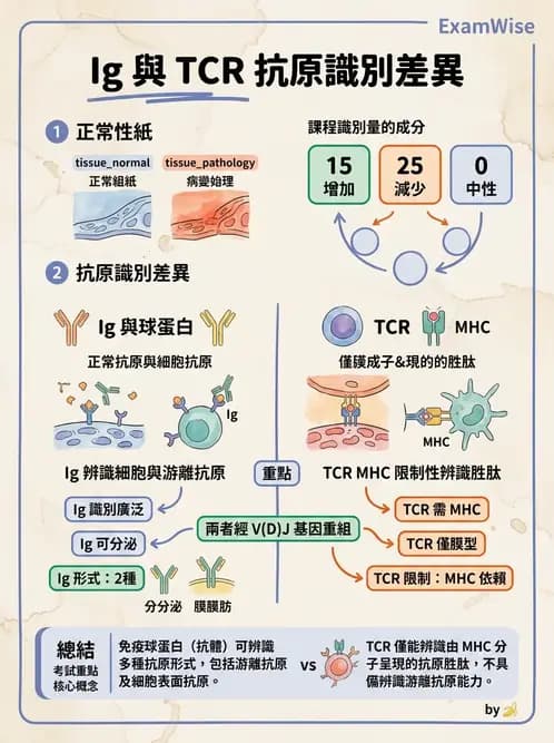 醫檢師 - 免疫球蛋白與抗體 - AI 圖文解析預覽