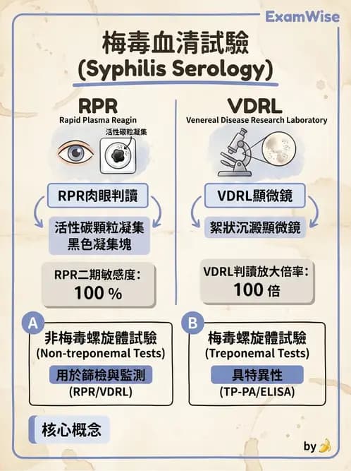 醫檢師 - 急性發炎蛋白與微生物感染血清學 - AI 圖文解析預覽