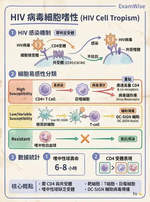 醫檢師 - 反轉錄病毒(HIV/HTLV) - AI 圖文解析預覽