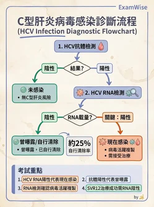 醫檢師 - 黃病毒科與蟲媒病毒 - AI 圖文解析預覽