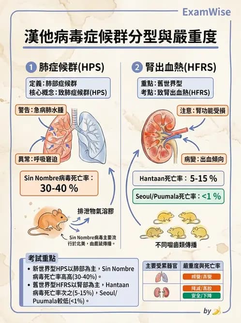 醫檢師 - 其他RNA病毒 - AI 圖文解析預覽