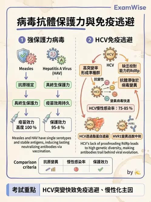 醫檢師 - 黃病毒科與蟲媒病毒 - AI 圖文解析預覽