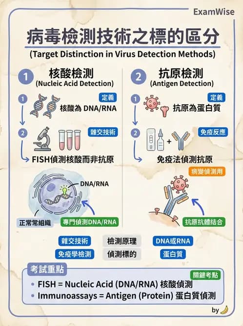 醫檢師 - 病毒檢驗技術 - AI 圖文解析預覽