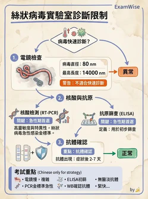 醫檢師 - 病毒檢驗技術 - AI 圖文解析預覽