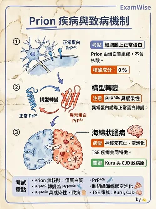 醫檢師 - 朊蛋白與其他DNA相關病原 - AI 圖文解析預覽