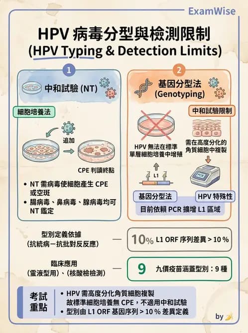 醫檢師 - 病毒檢驗技術 - AI 圖文解析預覽