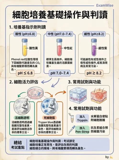 醫檢師 - 病毒檢驗技術 - AI 圖文解析預覽