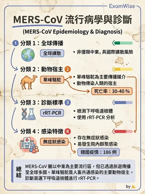 醫檢師 - 冠狀病毒科 - AI 圖文解析預覽