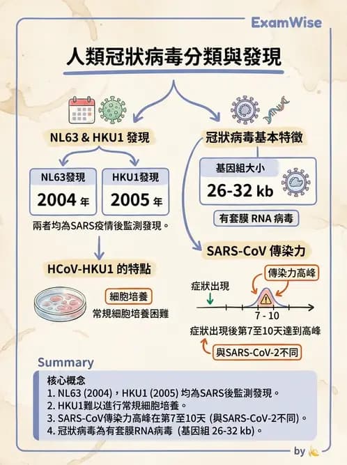 醫檢師 - 冠狀病毒科 - AI 圖文解析預覽