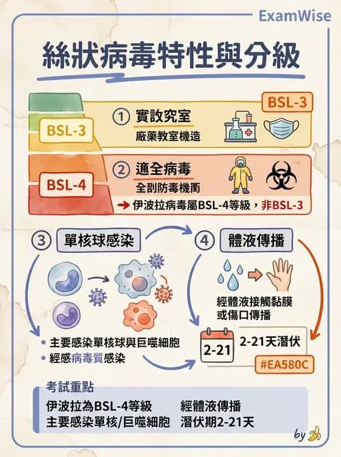 醫檢師 - 其他RNA病毒 - AI 圖文解析預覽