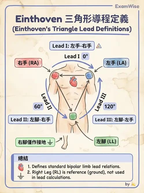 醫檢師 - 心電圖基礎與判讀 - AI 圖文解析預覽