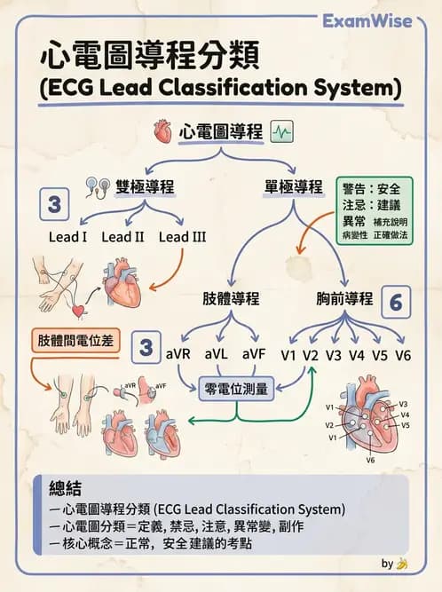 醫檢師 - 心電圖基礎與判讀 - AI 圖文解析預覽