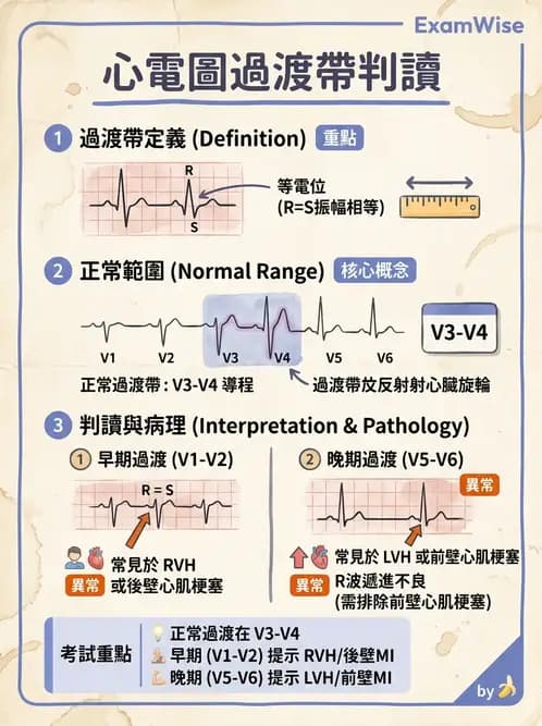 醫檢師 - 心電圖基礎與判讀 - AI 圖文解析預覽