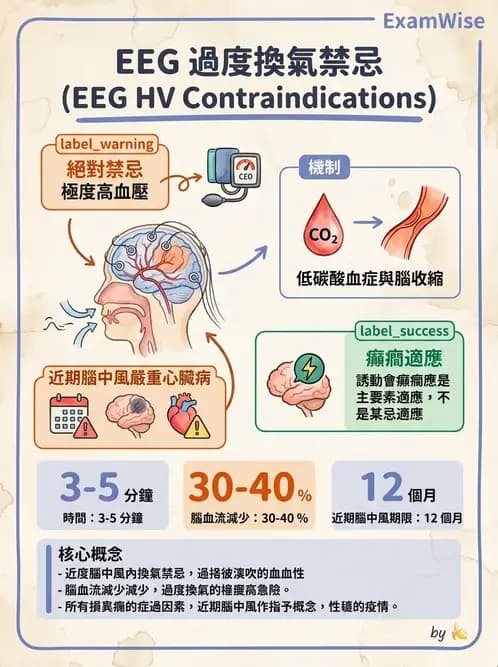 醫檢師 - 腦電圖檢查 - AI 圖文解析預覽