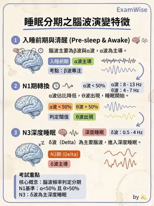 醫檢師 - 神經肌肉與睡眠檢查 - AI 圖文解析預覽