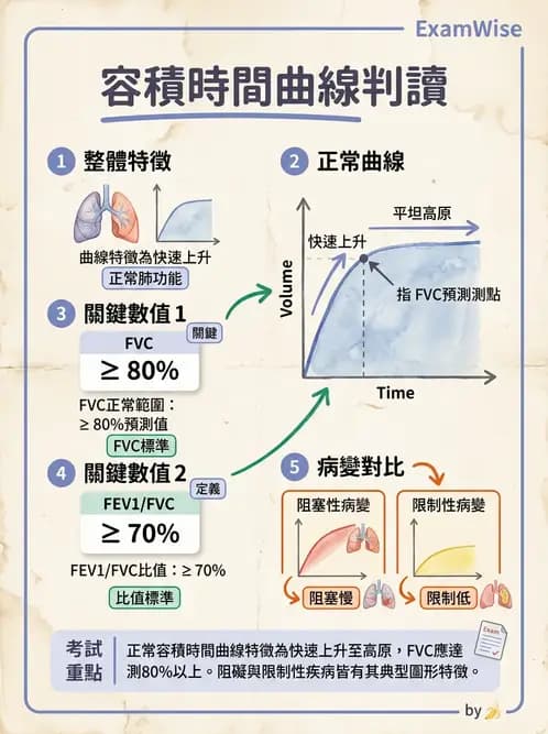 醫檢師 - 肺功能判讀與氣體交換 - AI 圖文解析預覽