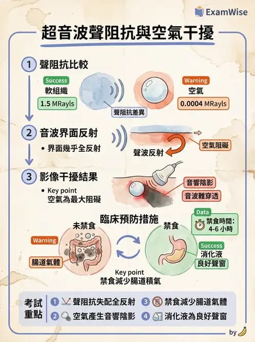 醫檢師 - 超音波檢查 - AI 圖文解析預覽