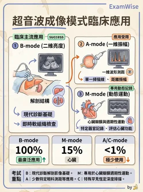 醫檢師 - 超音波檢查 - AI 圖文解析預覽