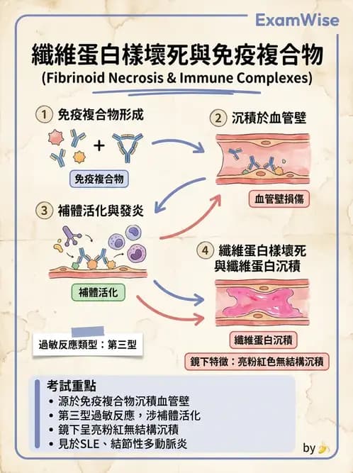 醫檢師 - 細胞傷害、發炎與修復 - AI 圖文解析預覽
