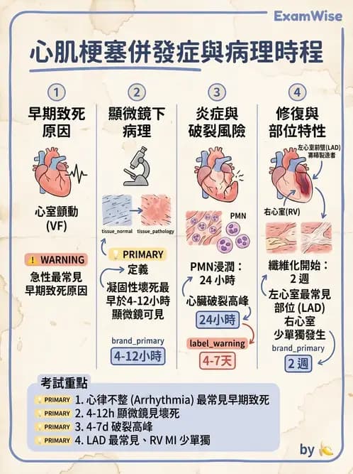 醫檢師 - 心血管疾病 - AI 圖文解析預覽