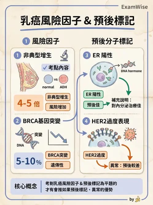 醫檢師 - 乳房及女性生殖疾病 - AI 圖文解析預覽