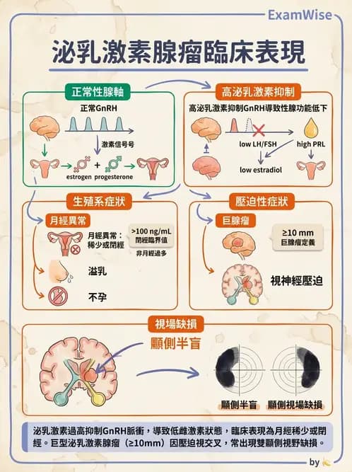 醫檢師 - 內分泌疾病 - AI 圖文解析預覽