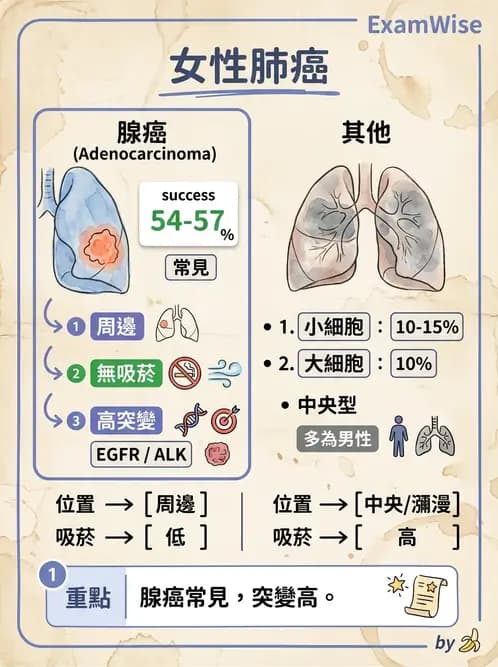 醫檢師 - 呼吸系統疾病 - AI 圖文解析預覽