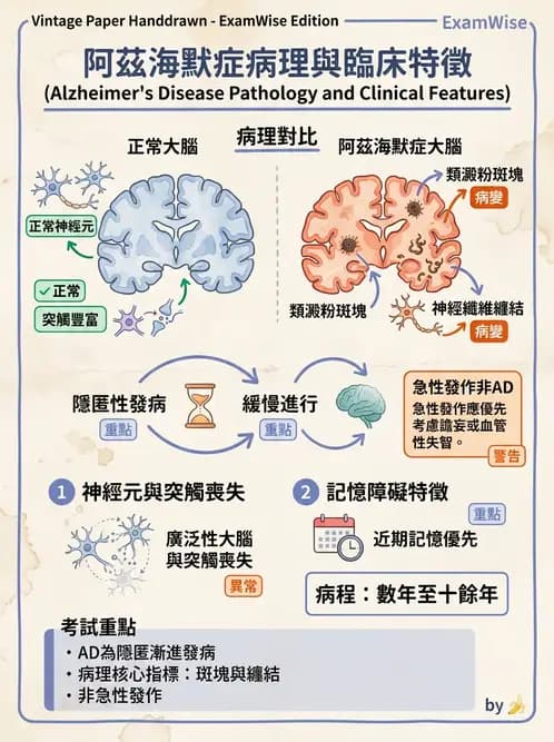 醫檢師 - 神經系統疾病 - AI 圖文解析預覽