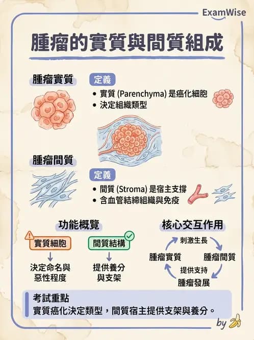 醫檢師 - 腫瘤概論 - AI 圖文解析預覽