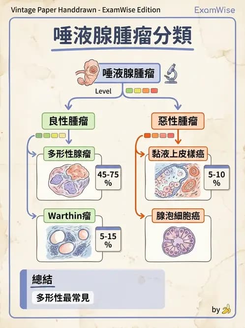 醫檢師 - 消化肝膽疾病 - AI 圖文解析預覽