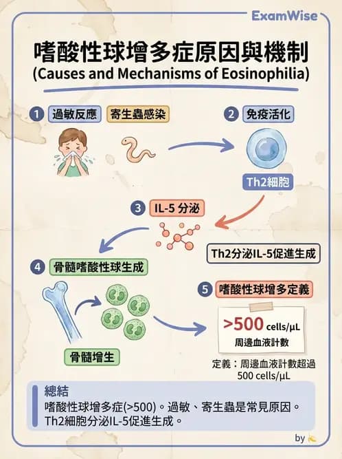 醫檢師 - 造血系統疾病 - AI 圖文解析預覽