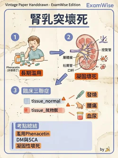 醫檢師 - 腎臟泌尿及男性生殖疾病 - AI 圖文解析預覽