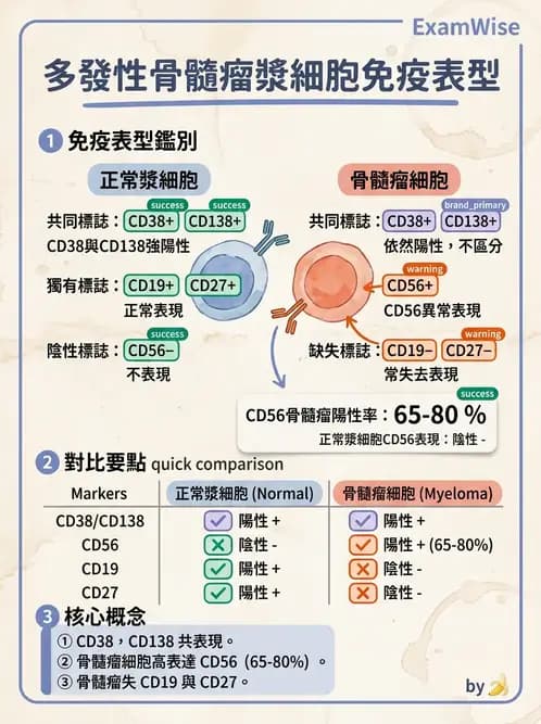 醫檢師 - 淋巴瘤、漿細胞疾病與白血球異常 - AI 圖文解析預覽
