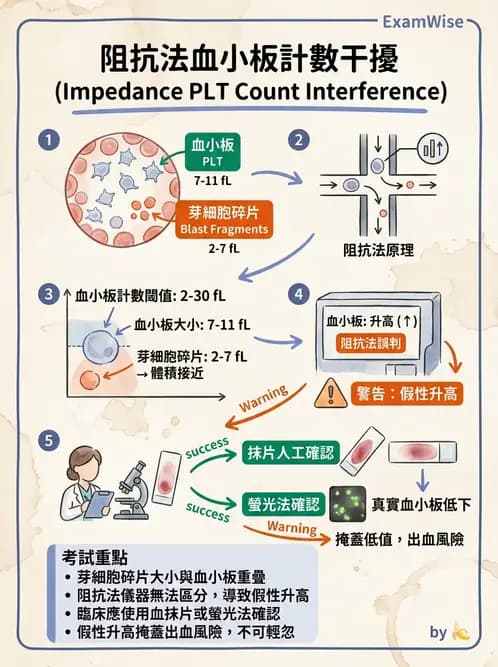 醫檢師 - 急性白血病 - AI 圖文解析預覽