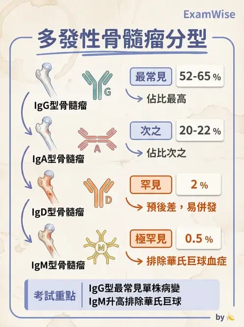 醫檢師 - 淋巴瘤、漿細胞疾病與白血球異常 - AI 圖文解析預覽