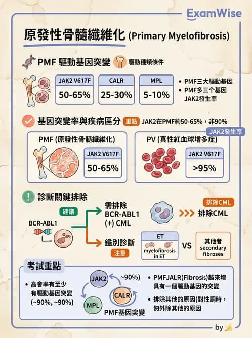 醫檢師 - 慢性血液腫瘤與骨髓增生疾患 - AI 圖文解析預覽