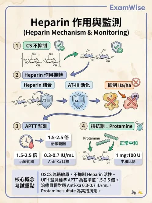 醫檢師 - 血栓性疾病與抗凝治療監測 - AI 圖文解析預覽