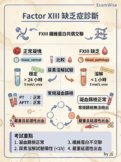 醫檢師 - 出血性疾病與檢驗 - AI 圖文解析預覽