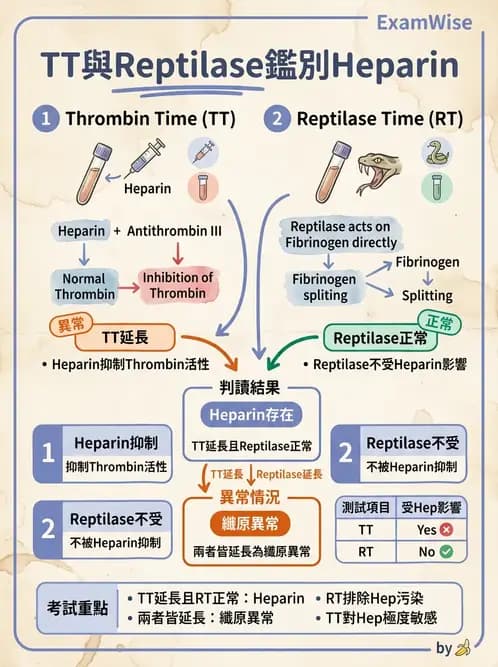 醫檢師 - 凝血因子與凝血檢驗 - AI 圖文解析預覽