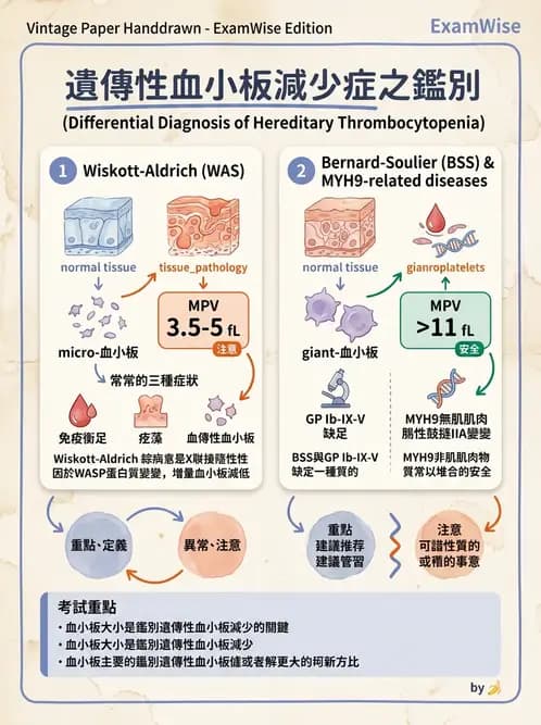 醫檢師 - 出血性疾病與檢驗 - AI 圖文解析預覽