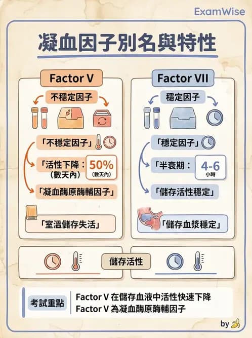 醫檢師 - 凝血因子與凝血檢驗 - AI 圖文解析預覽
