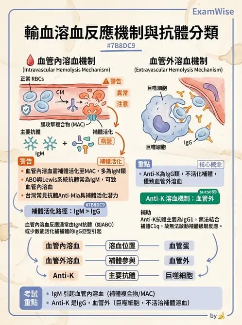 醫檢師 - 輸血反應與血庫品管 - AI 圖文解析預覽