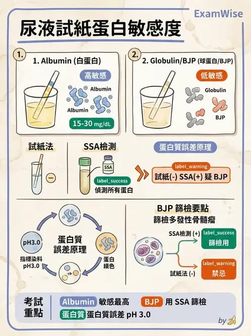 醫檢師 - 尿液化學檢驗 - AI 圖文解析預覽