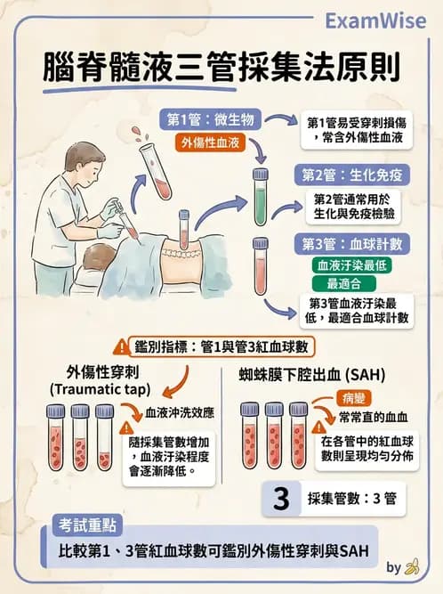 醫檢師 - 腦脊髓液檢查 - AI 圖文解析預覽