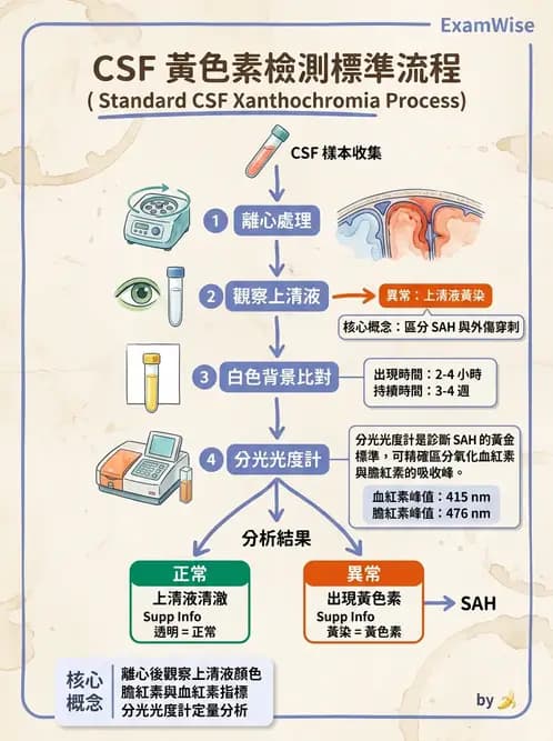 醫檢師 - 腦脊髓液檢查 - AI 圖文解析預覽