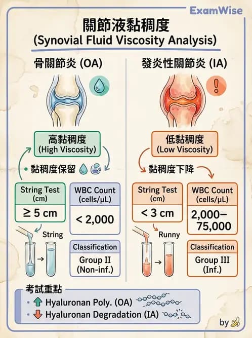 醫檢師 - 滑膜液檢查 - AI 圖文解析預覽